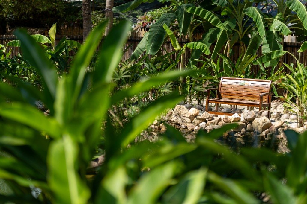 Tropical garden at Bamboo Bay